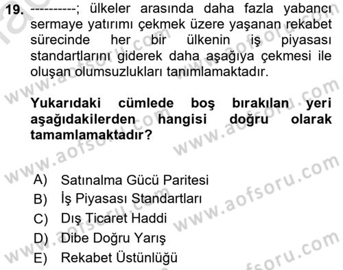 Gelir Dağılımı ve Yoksulluk Dersi 2020 - 2021 Yılı Yaz Okulu Sınav Soruları 19. Soru