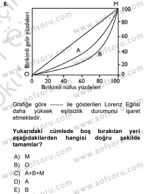 Gelir Dağılımı ve Yoksulluk Dersi 2020 - 2021 Yılı Yaz Okulu Sınav Soruları 6. Soru