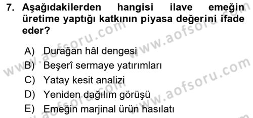 Gelir Dağılımı ve Yoksulluk Dersi 2020 - 2021 Yılı Yaz Okulu Sınav Soruları 7. Soru