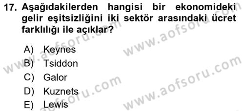 Gelir Dağılımı ve Yoksulluk Dersi 2021 - 2022 Yılı (Vize) Ara Sınav Soruları 17. Soru