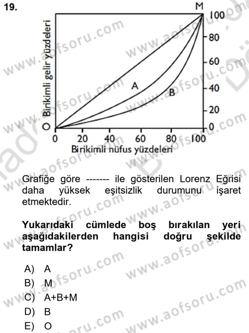 Gelir Dağılımı ve Yoksulluk Dersi 2021 - 2022 Yılı (Vize) Ara Sınav Soruları 19. Soru