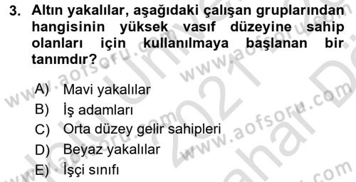 Gelir Dağılımı ve Yoksulluk Dersi 2021 - 2022 Yılı (Vize) Ara Sınav Soruları 3. Soru