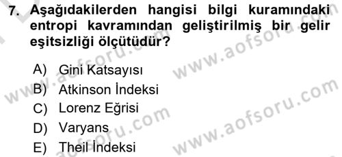 Gelir Dağılımı ve Yoksulluk Dersi 2021 - 2022 Yılı (Final) Dönem Sonu Sınav Soruları 7. Soru