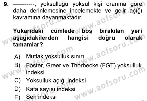Gelir Dağılımı ve Yoksulluk Dersi 2021 - 2022 Yılı (Final) Dönem Sonu Sınav Soruları 9. Soru