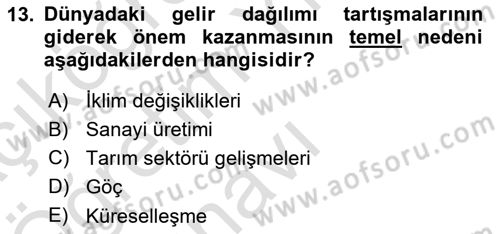 Gelir Dağılımı ve Yoksulluk Dersi 2021 - 2022 Yılı Yaz Okulu Sınav Soruları 13. Soru