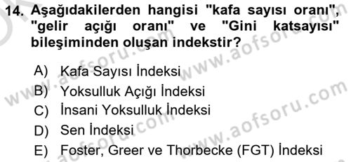 Gelir Dağılımı ve Yoksulluk Dersi 2021 - 2022 Yılı Yaz Okulu Sınav Soruları 14. Soru
