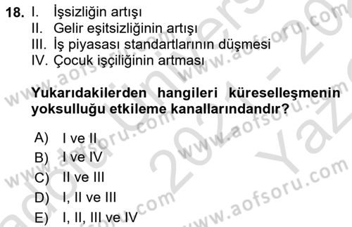 Gelir Dağılımı ve Yoksulluk Dersi 2021 - 2022 Yılı Yaz Okulu Sınav Soruları 18. Soru