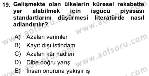 Gelir Dağılımı ve Yoksulluk Dersi 2021 - 2022 Yılı Yaz Okulu Sınav Soruları 19. Soru