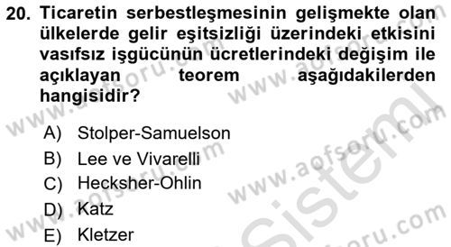 Gelir Dağılımı ve Yoksulluk Dersi 2021 - 2022 Yılı Yaz Okulu Sınav Soruları 20. Soru
