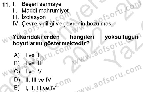 Gelir Dağılımı ve Yoksulluk Dersi 2022 - 2023 Yılı Yaz Okulu Sınav Soruları 11. Soru