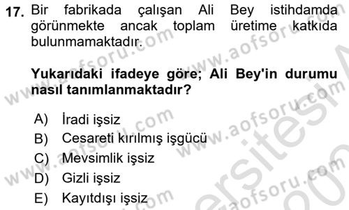 Gelir Dağılımı ve Yoksulluk Dersi 2022 - 2023 Yılı Yaz Okulu Sınav Soruları 17. Soru
