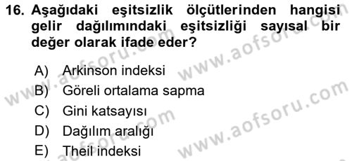 Gelir Dağılımı ve Yoksulluk Dersi 2023 - 2024 Yılı (Vize) Ara Sınav Soruları 16. Soru