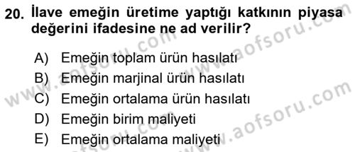 Gelir Dağılımı ve Yoksulluk Dersi 2023 - 2024 Yılı (Vize) Ara Sınav Soruları 20. Soru