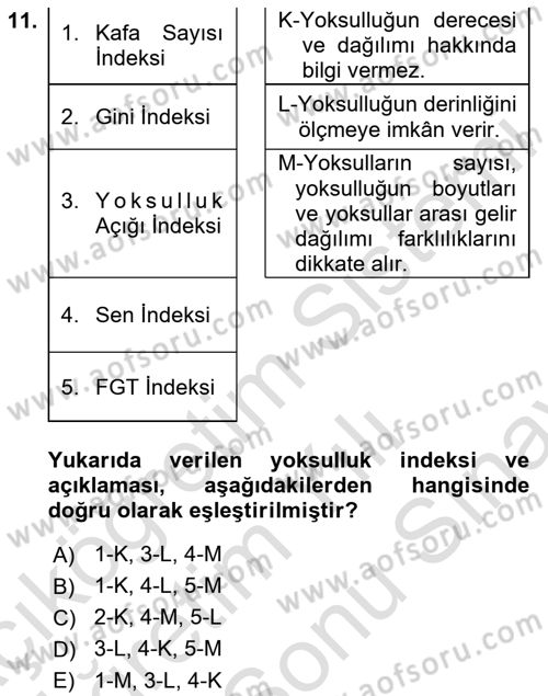 Gelir Dağılımı ve Yoksulluk Dersi 2023 - 2024 Yılı (Final) Dönem Sonu Sınav Soruları 11. Soru