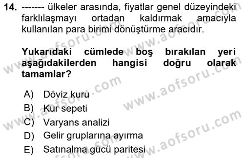 Gelir Dağılımı ve Yoksulluk Dersi 2023 - 2024 Yılı (Final) Dönem Sonu Sınav Soruları 14. Soru