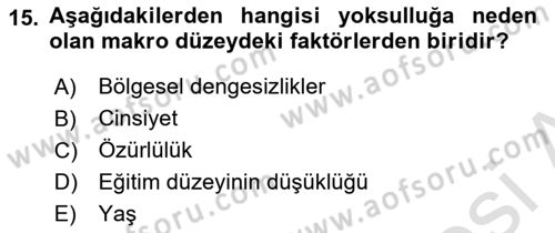 Gelir Dağılımı ve Yoksulluk Dersi 2023 - 2024 Yılı (Final) Dönem Sonu Sınav Soruları 15. Soru
