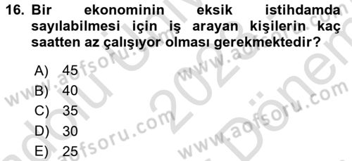 Gelir Dağılımı ve Yoksulluk Dersi 2023 - 2024 Yılı (Final) Dönem Sonu Sınav Soruları 16. Soru
