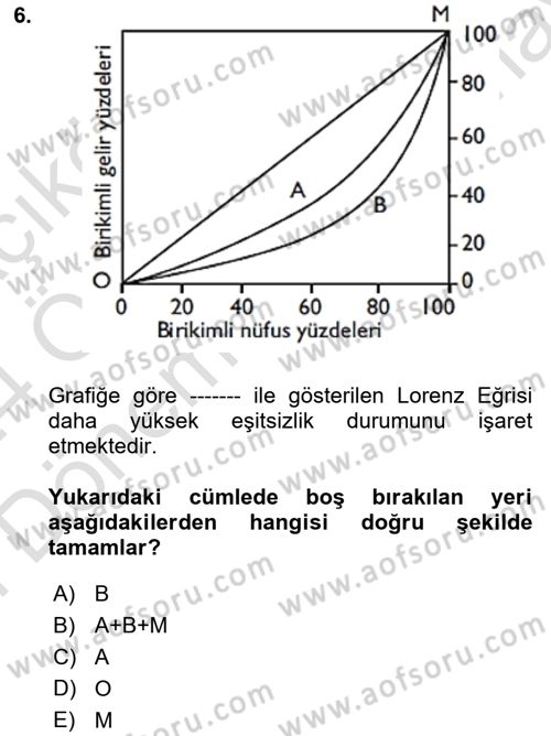 Gelir Dağılımı ve Yoksulluk Dersi 2023 - 2024 Yılı (Final) Dönem Sonu Sınav Soruları 6. Soru