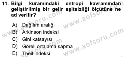 Gelir Dağılımı ve Yoksulluk Dersi 2023 - 2024 Yılı Yaz Okulu Sınav Soruları 11. Soru