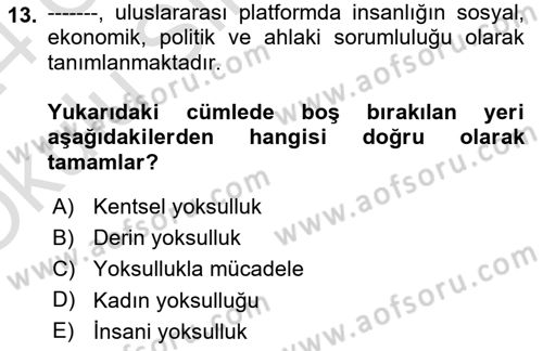 Gelir Dağılımı ve Yoksulluk Dersi 2023 - 2024 Yılı Yaz Okulu Sınav Soruları 13. Soru