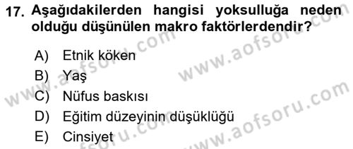 Gelir Dağılımı ve Yoksulluk Dersi 2023 - 2024 Yılı Yaz Okulu Sınav Soruları 17. Soru