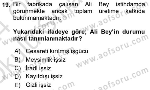 Gelir Dağılımı ve Yoksulluk Dersi 2023 - 2024 Yılı Yaz Okulu Sınav Soruları 19. Soru