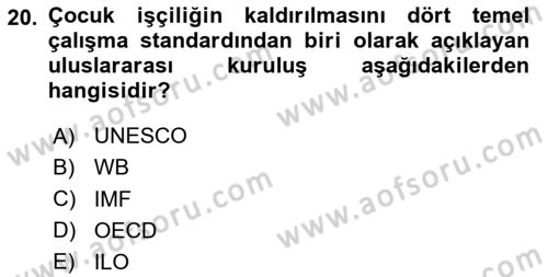Gelir Dağılımı ve Yoksulluk Dersi 2023 - 2024 Yılı Yaz Okulu Sınav Soruları 20. Soru