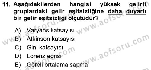 Gelir Dağılımı ve Yoksulluk Dersi 2024 - 2025 Yılı (Vize) Ara Sınav Soruları 11. Soru