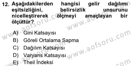 Gelir Dağılımı ve Yoksulluk Dersi 2024 - 2025 Yılı (Vize) Ara Sınav Soruları 12. Soru