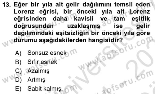 Gelir Dağılımı ve Yoksulluk Dersi 2024 - 2025 Yılı (Vize) Ara Sınav Soruları 13. Soru