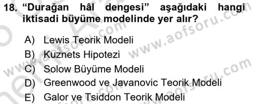 Gelir Dağılımı ve Yoksulluk Dersi 2024 - 2025 Yılı (Vize) Ara Sınav Soruları 18. Soru