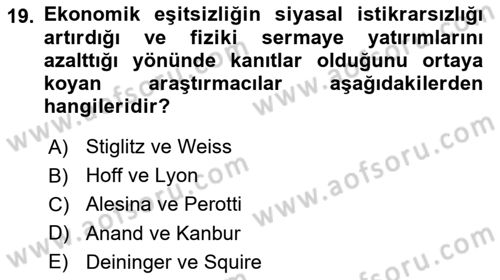 Gelir Dağılımı ve Yoksulluk Dersi 2024 - 2025 Yılı (Vize) Ara Sınav Soruları 19. Soru