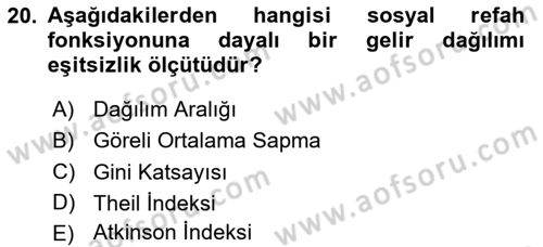 Gelir Dağılımı ve Yoksulluk Dersi 2024 - 2025 Yılı (Vize) Ara Sınav Soruları 20. Soru