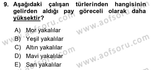 Gelir Dağılımı ve Yoksulluk Dersi 2024 - 2025 Yılı (Vize) Ara Sınav Soruları 9. Soru