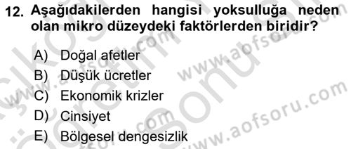 Gelir Dağılımı ve Yoksulluk Dersi 2024 - 2025 Yılı (Final) Dönem Sonu Sınav Soruları 12. Soru