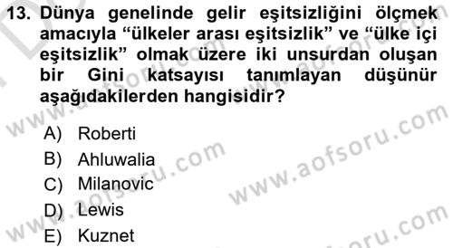 Gelir Dağılımı ve Yoksulluk Dersi 2024 - 2025 Yılı (Final) Dönem Sonu Sınav Soruları 13. Soru