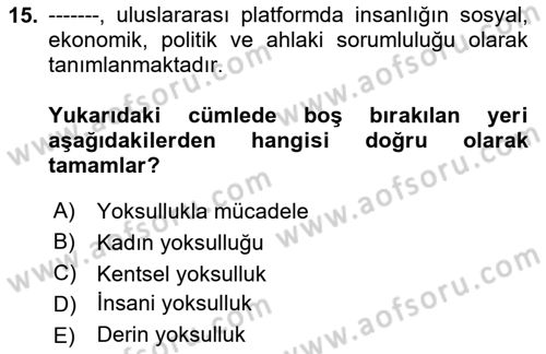 Gelir Dağılımı ve Yoksulluk Dersi 2024 - 2025 Yılı (Final) Dönem Sonu Sınav Soruları 15. Soru