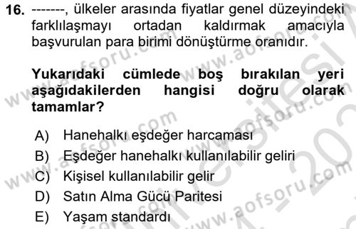 Gelir Dağılımı ve Yoksulluk Dersi 2024 - 2025 Yılı (Final) Dönem Sonu Sınav Soruları 16. Soru