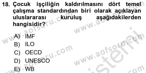 Gelir Dağılımı ve Yoksulluk Dersi 2024 - 2025 Yılı (Final) Dönem Sonu Sınav Soruları 18. Soru