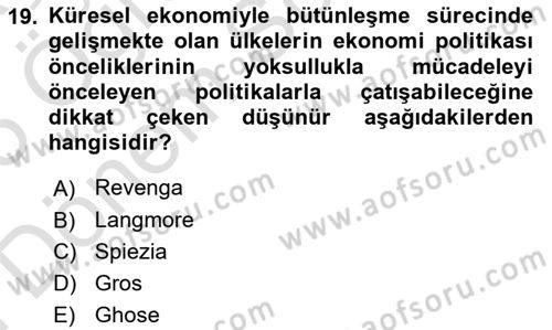 Gelir Dağılımı ve Yoksulluk Dersi 2024 - 2025 Yılı (Final) Dönem Sonu Sınav Soruları 19. Soru