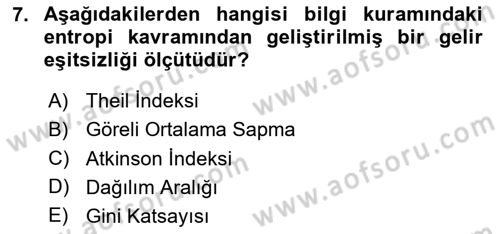 Gelir Dağılımı ve Yoksulluk Dersi 2024 - 2025 Yılı (Final) Dönem Sonu Sınav Soruları 7. Soru