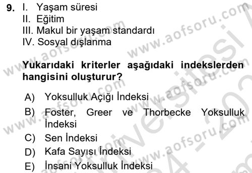 Gelir Dağılımı ve Yoksulluk Dersi 2024 - 2025 Yılı (Final) Dönem Sonu Sınav Soruları 9. Soru