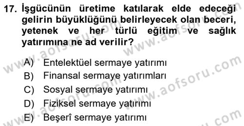 Gelir Dağılımı ve Yoksulluk Dersi 2025 - 2026 Yılı (Vize) Ara Sınav Soruları 17. Soru