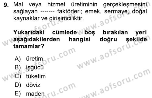 Gelir Dağılımı ve Yoksulluk Dersi 2025 - 2026 Yılı (Vize) Ara Sınav Soruları 9. Soru