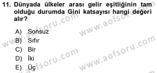 Gelir Dağılımı ve Yoksulluk Dersi 2025 - 2026 Yılı (Final) Dönem Sonu Sınav Soruları 11. Soru