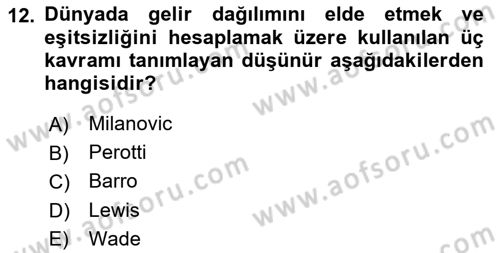 Gelir Dağılımı ve Yoksulluk Dersi 2025 - 2026 Yılı (Final) Dönem Sonu Sınav Soruları 12. Soru