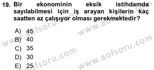 Gelir Dağılımı ve Yoksulluk Dersi 2025 - 2026 Yılı (Final) Dönem Sonu Sınav Soruları 19. Soru
