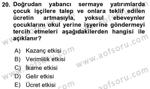 Gelir Dağılımı ve Yoksulluk Dersi 2025 - 2026 Yılı (Final) Dönem Sonu Sınav Soruları 20. Soru