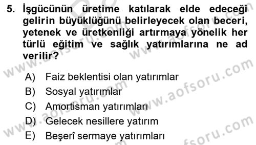 Gelir Dağılımı ve Yoksulluk Dersi 2025 - 2026 Yılı (Final) Dönem Sonu Sınav Soruları 5. Soru