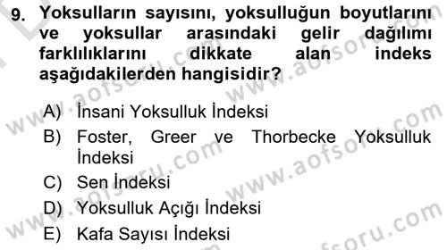 Gelir Dağılımı ve Yoksulluk Dersi 2025 - 2026 Yılı (Final) Dönem Sonu Sınav Soruları 9. Soru